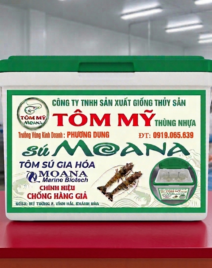 Thùng nhựa chống giả Tôm Mỹ sú Moana xếp sẵn